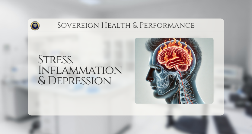 How Systemic Inflammation and Stress Influence Mood and Depression